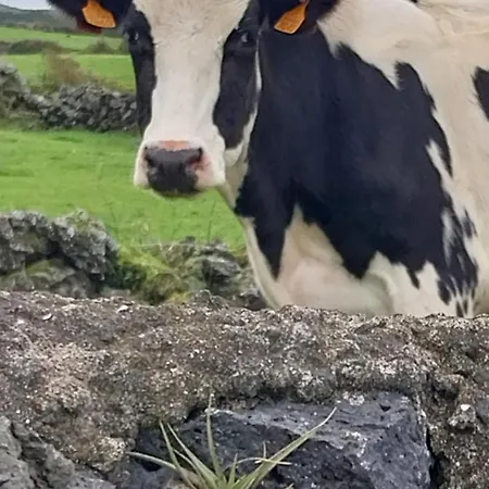 וילה Stunning Ocean View With 3 Islands In Front Of Serreta